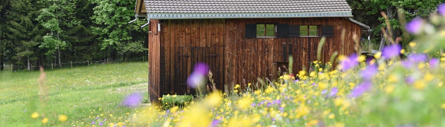 Ferienhütte Birihof